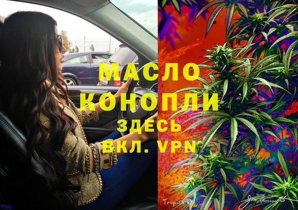 соль ск Кукмор
