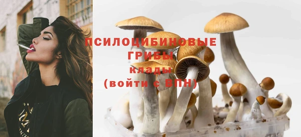 соль ск Кукмор