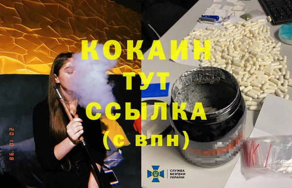 соль ск Кукмор